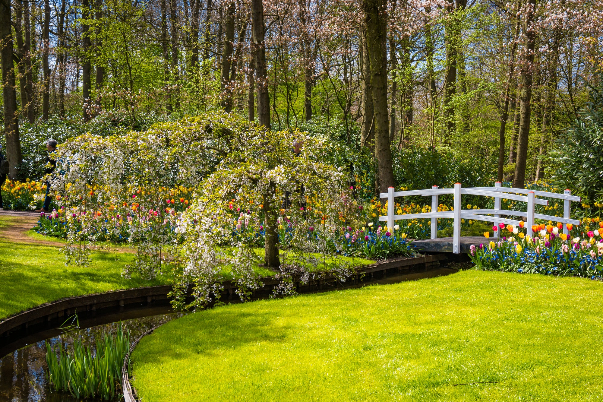 Beautiful park garden in spring. Formal Garden