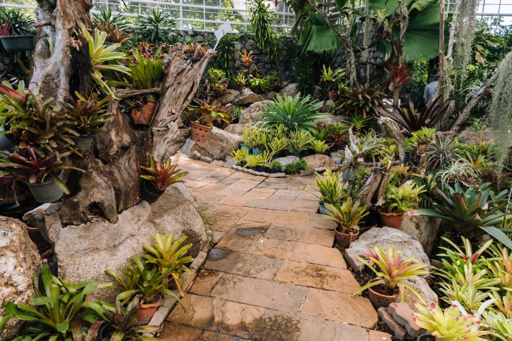 Pathways with green garden, Landscaping in the garden