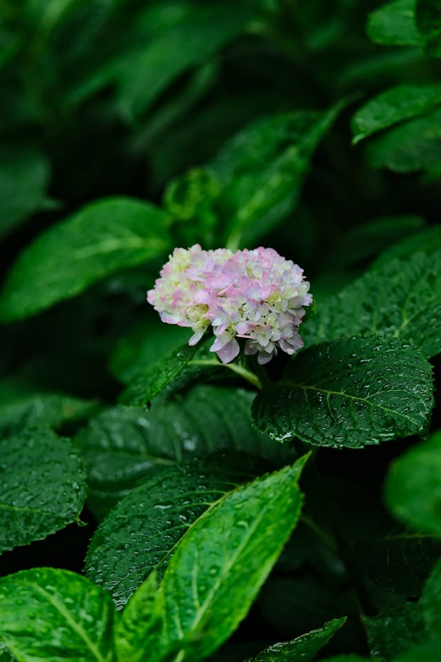 blog-image
